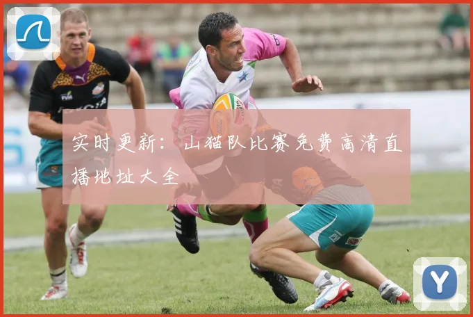 实时更新：山猫队比赛免费高清直播地址大全